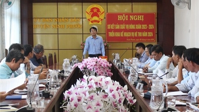 NTO - Ninh Phước: Triển khai kế hoạch sản xuất vụ hè