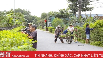 រីករាយថ្ងៃនៅតំបន់លំនៅដ្ឋានគំរូ Tan Long