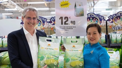 ការនាំចេញកសិផល រុក្ខាប្រមាញ់ និងនេសាទ "ឈានដល់ចំណុចបញ្ចប់" នៅដើមឆ្នាំ 11 ខែអតិរេកឈានដល់ជិត 16.5 ពាន់លាន