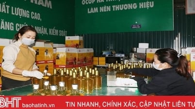 រោងចក្រ Huong Son OCOP បង្កើនល្បឿនផលិតកម្ម ដើម្បីបម្រើទីផ្សារ Tet
