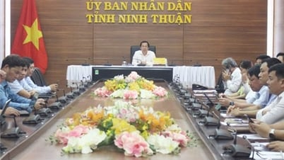 Hội nghị trực tuyến Thường trực Chính phủ với các bộ, cơ quan, địa phương về đôn đốc đẩy mạnh giải ngân vốn đầu tư công năm 2023