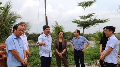 Tứ Kỳ xử lý 97 trường hợp vi phạm công trình thủy lợi