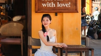 គោលដៅទេសចរណ៍វៀតណាមចំនួន 8 ដែលបានស្វែងរកច្រើនបំផុតនៅលើ Google 2024