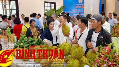 សហករណ៍ជាច្រើនត្រូវបានផ្សារភ្ជាប់នៅក្នុងសង្វាក់ផលិតកម្ម និងការប្រើប្រាស់ផលិតផលកសិកម្ម។