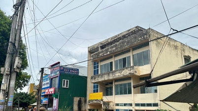 Dak Nong ស្រេកឃ្លាន​ទុន​វិនិយោគ ប៉ុន្តែ​ដី​សាធារណៈ​នៅ​ទទេ។
