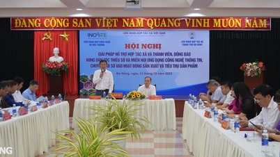Xây dựng, vận hành chợ sản phẩm hợp tác xã trực tuyến