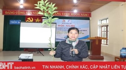Chuyển giao kỹ thuật trồng cam hữu cơ cho thanh niên Hương Sơn