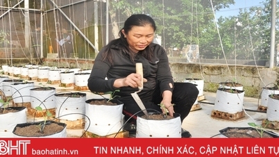 Nhanh tay giải ngân 280 tỷ đồng vốn giải quyết việc làm cho người dân Hà Tĩnh