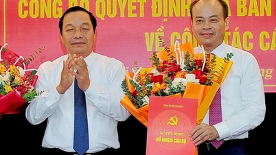 Đồng chí Trần Hồ Đăng giữ chức Phó Chủ nhiệm Ủy ban Kiểm Tra Tỉnh ủy Hải Dương