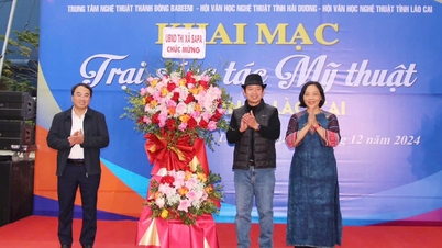 បើក​ជំរុំ​បង្កើត​វិចិត្រសិល្បៈ Hai Duong