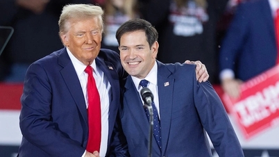 Ông Marco Rubio: Từ đối thủ của ông Trump tới Ngoại trưởng Mỹ