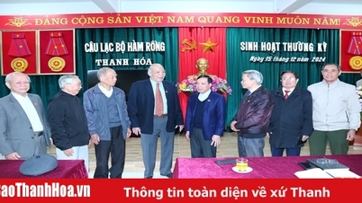 สมาชิกชมรม Ham Rong ยังคงนำความพยายามและสติปัญญาของตนมาใช้เพื่อสร้างบ้านเกิดของ Thanh Hoa ให้เจริญรุ่งเรืองและพัฒนามากยิ่งขึ้น