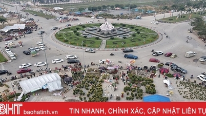 TP Hà Tĩnh bố trí 8 khu vực kinh doanh hoa, cây cảnh tết Giáp Thìn