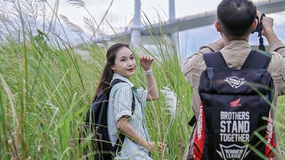 វាល​ដើម​ត្រែង​ដ៏​ស្រស់​ស្អាត​គួរ​ឱ្យ​ចាប់​អារម្មណ៍​នៅ​ទីក្រុង Da Nang