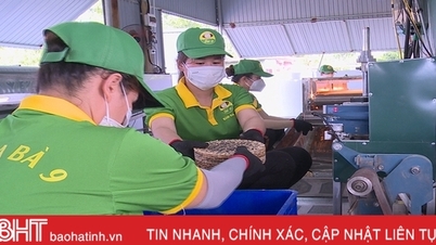 OCOP ផ្កាយ 3 - "លិខិតឆ្លងដែន" ជួយក្រដាសអង្ករ Xuan Loc ពង្រីកទីផ្សាររបស់ខ្លួន។