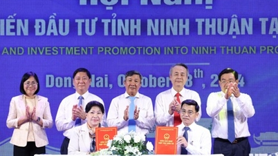 Successfully organized the Conference on connecting and promoting investment in Ninh Thuan province in Dong Nai province