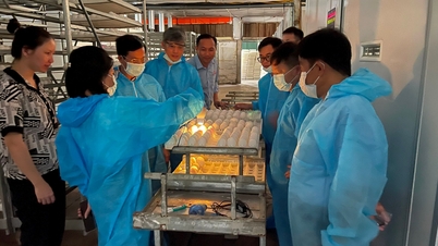 បច្ចេកទេសចិញ្ចឹមកូនមាន់