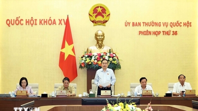 ការរៀបចំដើម្បីធានាគុណភាព និងប្រសិទ្ធភាពសម្រាប់សម័យប្រជុំលើកទី៨