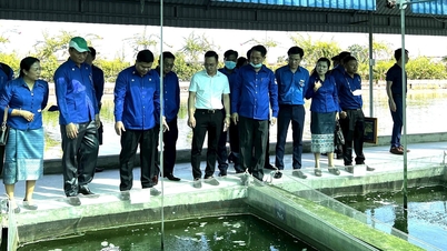 Hai Duong y Vientiane promueven la cooperación en el ámbito cultural