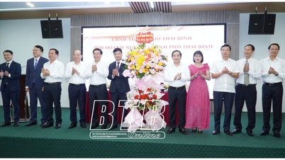 សមាគមធុរកិច្ចទីក្រុង Thai Binh៖ រៀបចំសមាជសម្រាប់អាណត្តិ 2024 - 2028