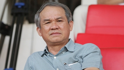 Hoang Anh Gia Lai wurde mit einer Geldstrafe belegt und musste fast eine Milliarde VND an Steuern zahlen.