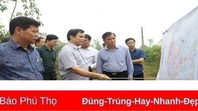 Speed ​​up the progress of investment projects to build industrial clusters in Tam Nong district.