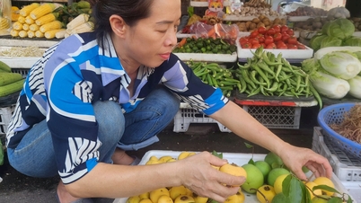 ផ្លែប៉ោមផ្កាយ "Miss Tam" ស្ថិតនៅលើផ្លូវហើយមនុស្សជាច្រើនជ្រើសរើសទិញវា។