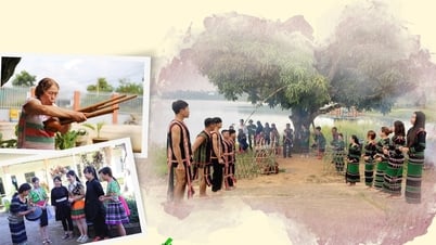 Dak Glong, land of traditional festivals