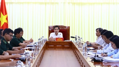 The monitoring delegation of the Provincial Party Standing Committee worked with the Party Committee of the Provincial Border Guard Command