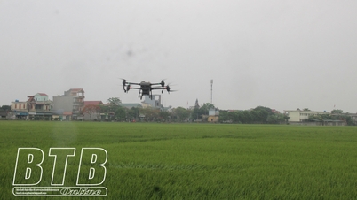 ផលិតកម្មស្រូវប្រកបដោយនិរន្តរភាព
