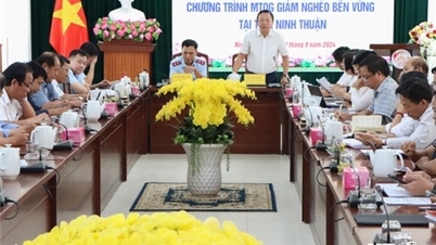 NTO - Ministry of Labor Inspection Team