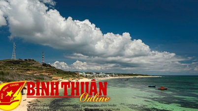 Khảo sát tour tuyến, sản phẩm du lịch mới tại đảo Phú Quý