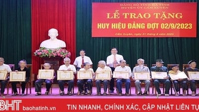 ប្រគល់ផ្លាកសញ្ញាបក្សដល់សមាជិកបក្សនៅ Cam Xuyen