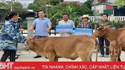 Ha Tinh ប្រមូលថវិកាជាង 157 ពាន់លានដុងសម្រាប់ជនក្រីក្រ