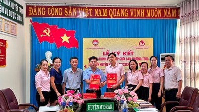 Huyện M'Drắk: Ký kết chương trình phối hợp về tín dụng chính sách xã hội