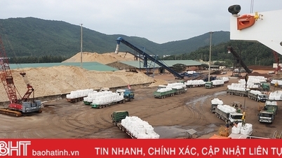 នៅឆ្នាំ២០២៣ ទីក្រុង Ha Tinh នឹងប្រមូលពន្ធនាំចូល និងនាំចេញបានជាង ៨.៧៨៧ពាន់លានដុង។