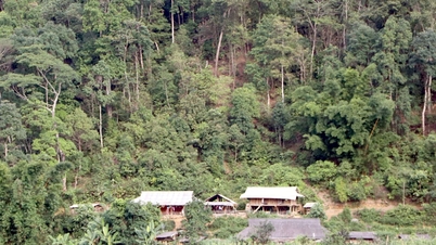 Inadequacies in land and forest allocation