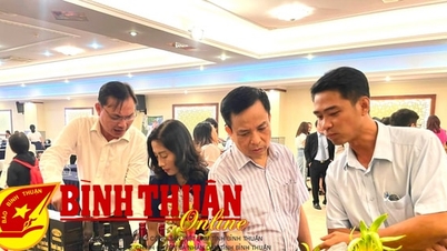 ការលំបាកក្នុងការរំលាយសហករណ៍ "បន្ទាប់បន្សំ"