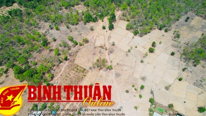 កែសម្រួល និងបំពេញរបាយការណ៍វាយតម្លៃផលប៉ះពាល់បរិស្ថាន