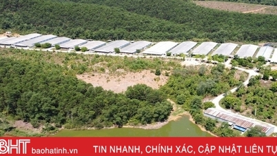 Hợp tác xã nông nghiệp có doanh thu hơn 60 tỷ đồng/năm ở Vũ Quang