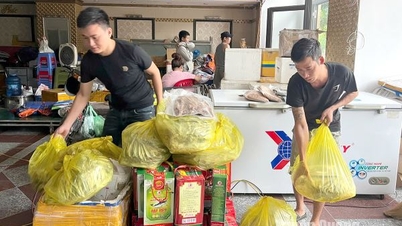 Supported the movement of nearly 100 tons of goods to safety