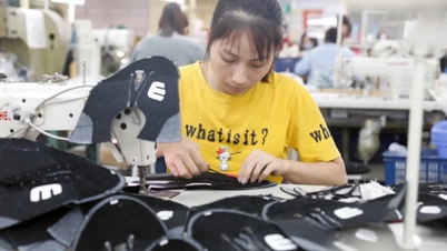 Xuất khẩu da giày có thể đạt khoảng 27 tỷ USD trong năm 2024