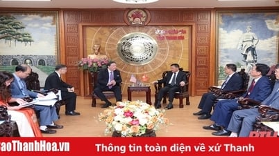Phó Chủ tịch Thường trực UBND tỉnh tiếp xã giao Đại sứ quán Hoa Kỳ tại Việt Nam