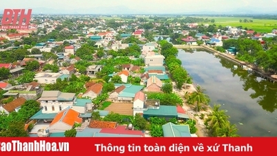 ដំណោះស្រាយលេខ 18-NQ/TW - បរិវេណសម្រាប់ការកសាងឧបករណ៍ដែលមានភាពបត់បែន ប្រសិទ្ធភាព និងប្រសិទ្ធភាព (អត្ថបទចុងក្រោយ)៖ ការរៀបចំរចនាសម្ព័ន្ធឡើងវិញយ៉ាងទូលំទូលាយ