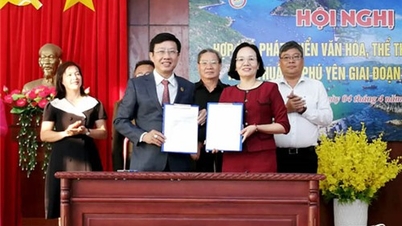 NTO - Sở Văn hóa, Thể thao và Du lịch Ninh Thuận, Phú Yên ký kết hợp tác giai đoạn 2024