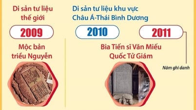 10 von der UNESCO anerkannte dokumentarische Kulturdenkmäler Vietnams