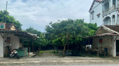 Thanh Mien វិនិយោគ 7 ពាន់លានដុងដើម្បីធ្វើឱ្យប្រសើរឡើងនូវទីផ្សារចំនួន 3