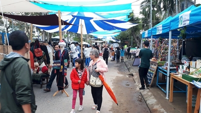 Hoi An ដាក់ពង្រាយសកម្មភាពទេសចរណ៍សមុទ្រជាច្រើន។