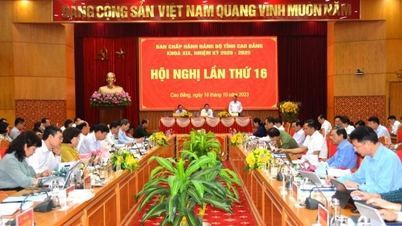 Hội nghị lần thứ 16 Ban Chấp hành Đảng bộ tỉnh khoá XIX, nhiệm kỳ 2020-2025