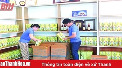 សហករណ៍​បាន​ត្រៀម​ខ្លួន​ជា​ស្រេច​ក្នុង​ការ​ផ្គត់ផ្គង់​ទំនិញ​ទៅ​កាន់​ទីផ្សារ​នៅ​ចុង​ឆ្នាំ​នេះ។